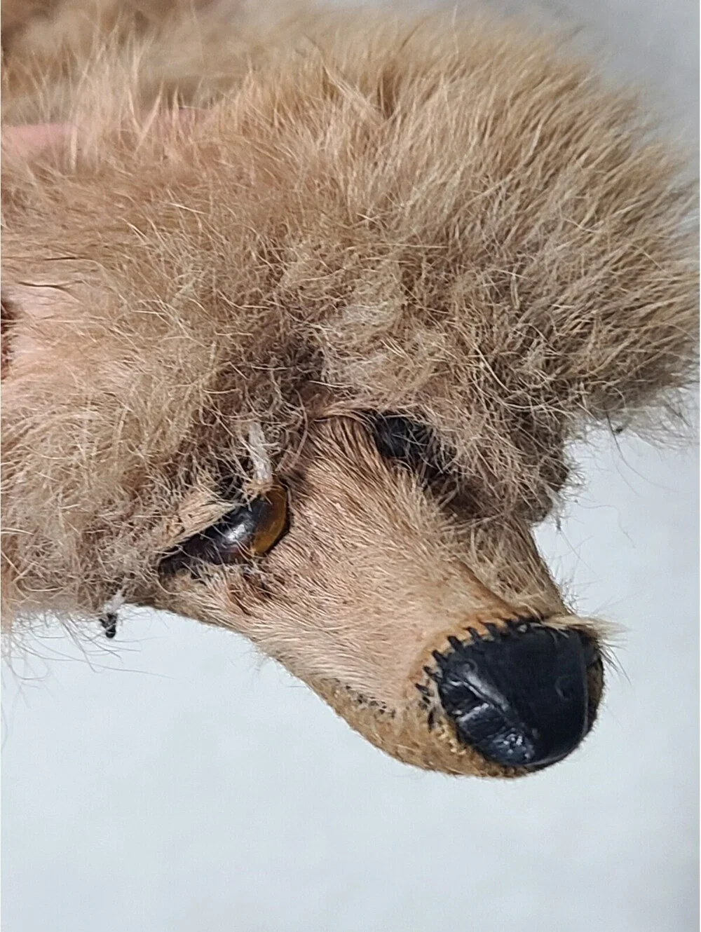 Vtg 40s Sable Mink Fur Sew On Collar Fluffy Taupe Tan Two Whole Pelts Genuine